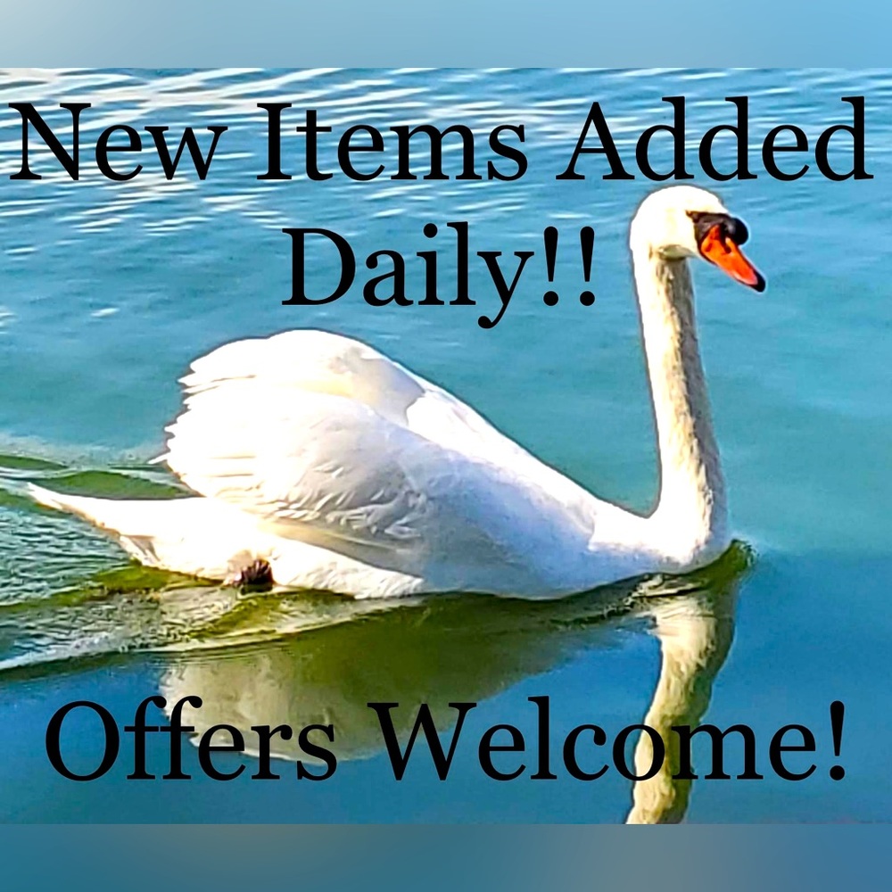 New Items Added Daily